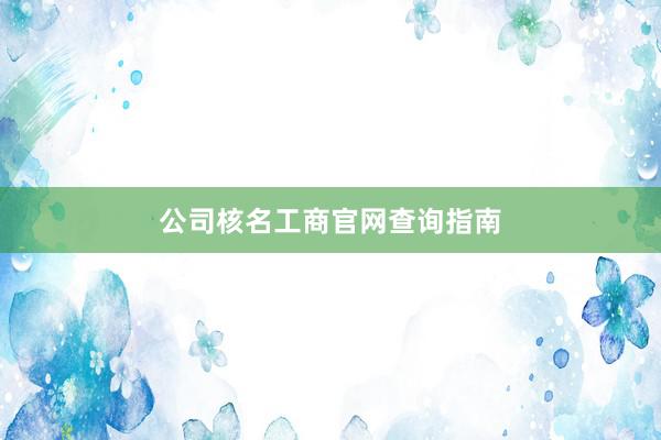 公司核名工商官网查询指南
